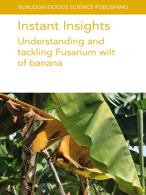 cover image of Instant Insights